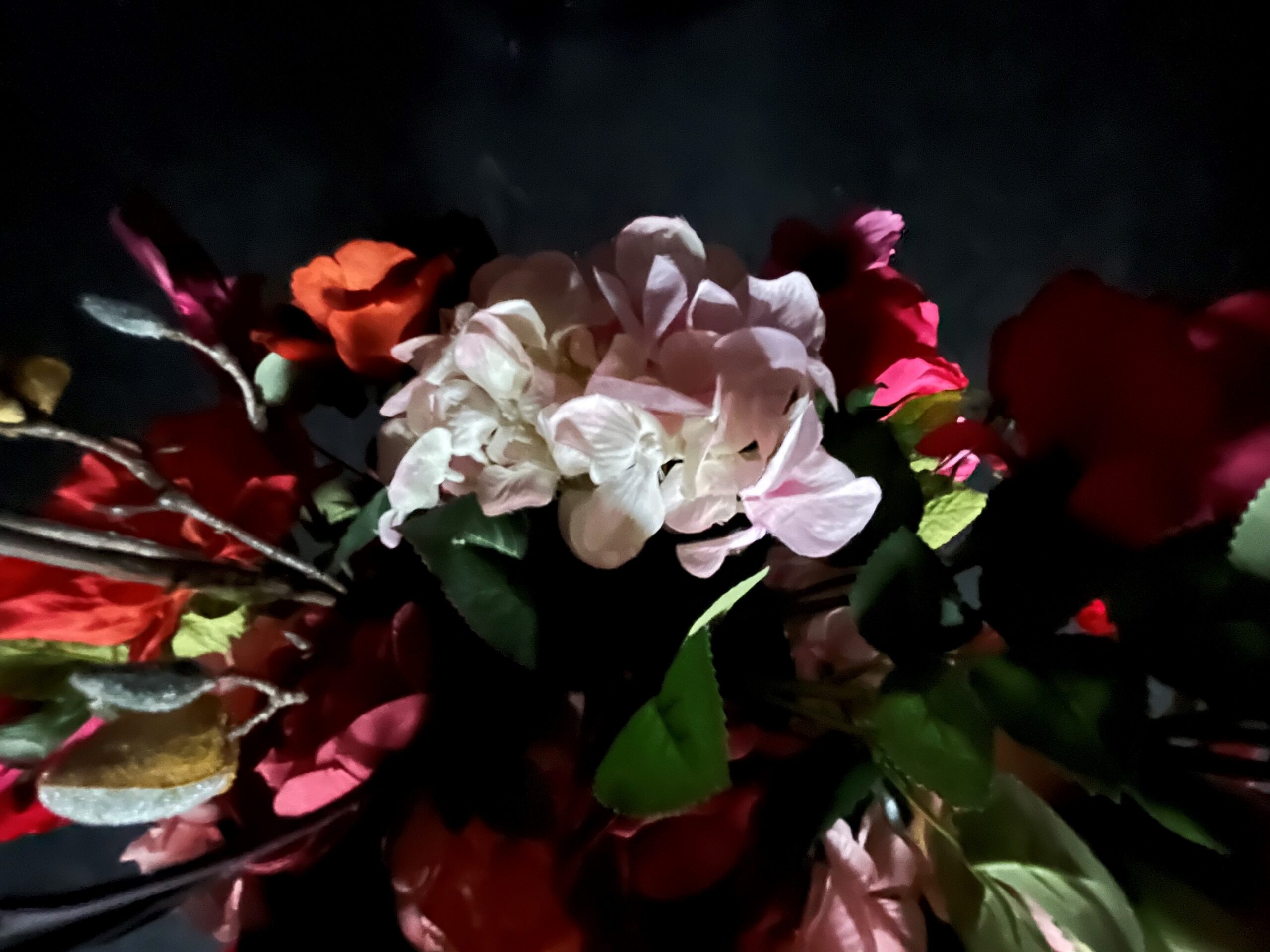 PREMIERE: DIE BAR DANACH - HIMMLISCH!